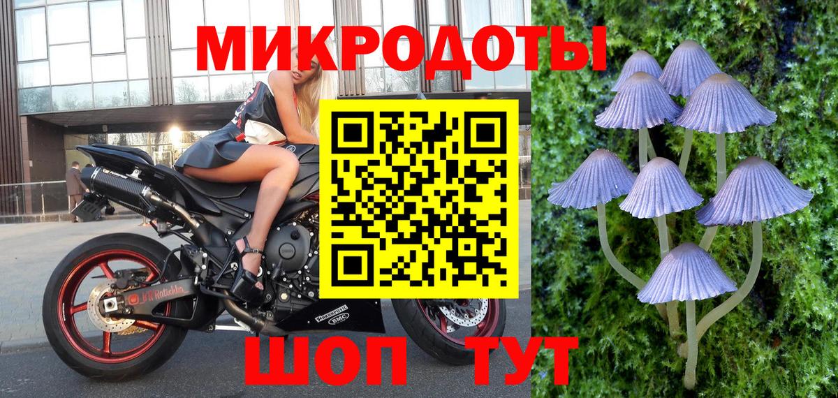 Славгород  Галлюциногенные грибы прущие грибы  Вход с VPN 